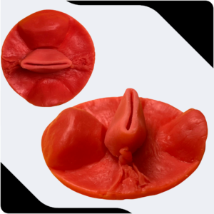 V.dome (cúpula vaginal)
